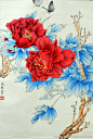 国画 牡丹 花 牡丹花 花草画 画 设计 线描 工笔 水墨 国画 设计 文化艺术