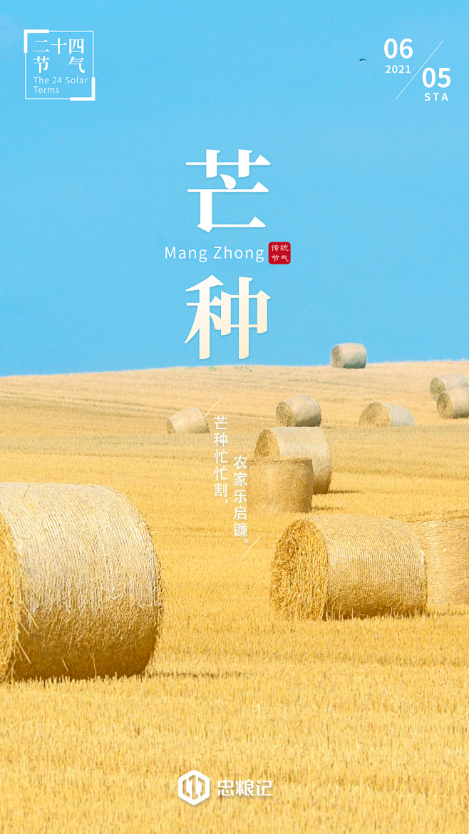24节气芒种