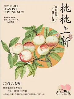 海报设计：国风桃子 - 小红书