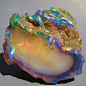 ggeology:Opalized wood // Virgin Valley, Humbolt County, Nevada, USA