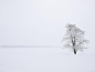 Snow tree by Kedama on 500px