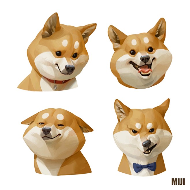 Shiba dog, miji lee ...