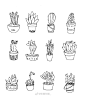 手帐素材超话#简笔画#

一波很实用的手账盆栽绘画素材。作者：@知画知画 ​ ​​​​