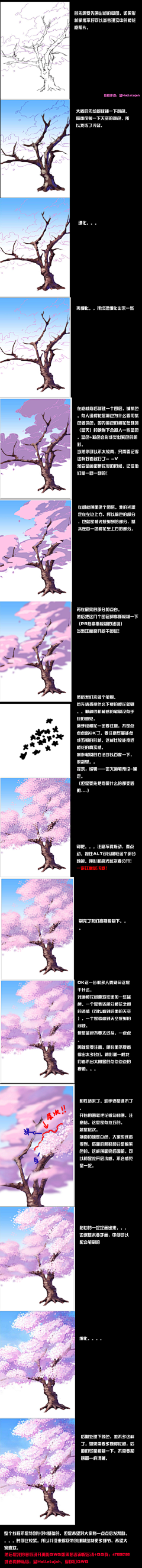 XD先森采集到花花