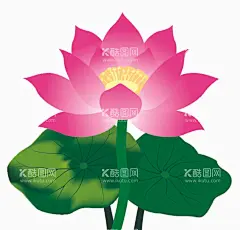 荷花插画  - 源文件下载【酷图网】荷花,荷叶,莲藕,莲蓬,荷叶胫