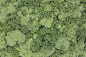 aerial ground terrain forest tree trees