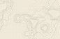 时尚高端抽象地理地形等高线矢量背景底纹纹理集合designshidai_beijing143