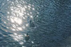 “你被黑暗敲打，恰恰说明你是光明本身。”    cr.过去与失去    波光粼粼的风景#ipad壁纸   电脑壁纸