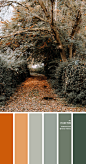 sage color, sage green color, sage color trend, rust and sage color combo, sage color palette, sage and rust, sage green and brown color combination, shades of sage green, what color looks good with sage, sage and brown color palette