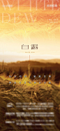白露节气海报-源文件