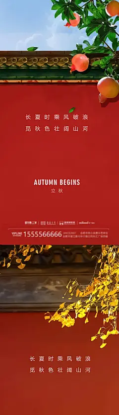 立秋海报