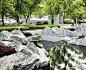 Cicada Landscape Architecture