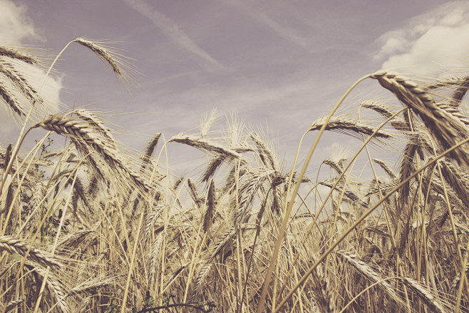 Nature Images Free f...