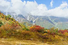 4 .四郎马山秋游