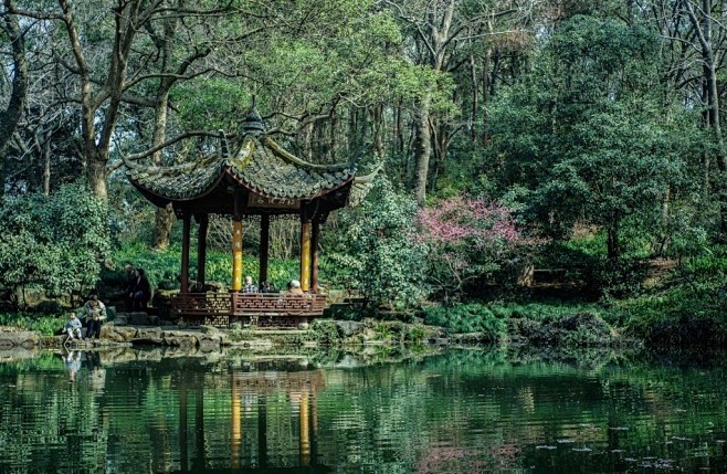 @八野秋鱼 的个人主页 - 微博