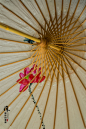 【套图】找一把油纸伞 带你去江南--蜂鸟论坛照片套图