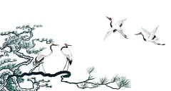 松鹤图  - 源文件下载【酷图网】松树,松鹤图,鹤,国潮素材,手绘丹顶鹤,