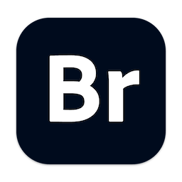 Adobe Bridge 2025 15.1.0.635 破解版 – 矢量绘图软件
