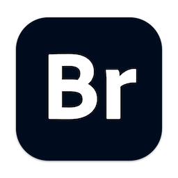 Adobe Bridge 2024 14.0.4 破解版 – 矢量绘图软件