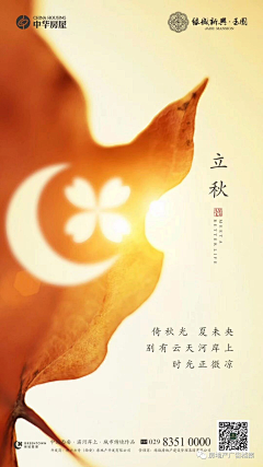 每天都想当甲方采集到立秋