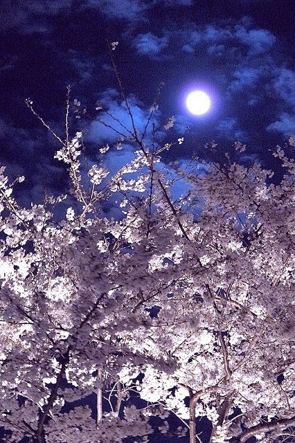 Night of full moon,