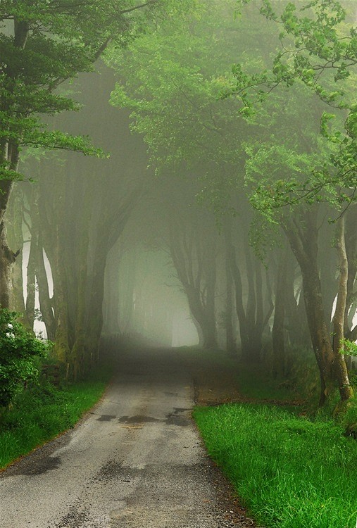 fog By irina_h Devon...