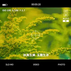 节气白露晒风景界面风plog模板