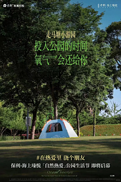 又又又y采集到板式排版