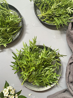 jearry采集到素材
