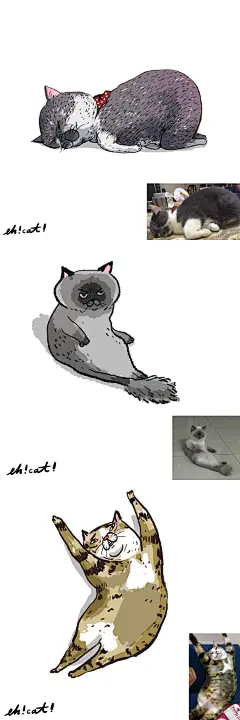 #飞乐鸟分享#  
一些沙雕猫咪的手绘形象照 
你手机里是不是也有各种沙雕照呀！ 
LOFTER插画师：蛋頭 ​​​​