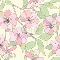 四方连续纹样,春天,背景聚焦,自然,卷着的,优美,高雅,图像,花朵,花