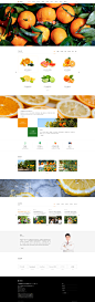 农业鲜橙企业网站首页设计_段建祥_68Design