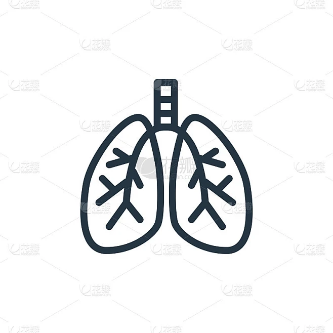 肺矢量图标孤立在白色背景。轮廓，细线肺图标，用于网站设计和移动，应用程序开发。细线肺轮廓图标矢量插图素材-花瓣网