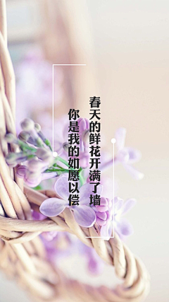 ~倾城吟づ采集到语～心愿づ