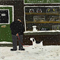 ​❄️

Gary Bunt ​​​ ​​​​