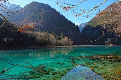 秋天,彩色图片,九寨沟风景名胜区,九寨沟 ,四川省,自然,国家公园,水平画幅,橙色,枫叶