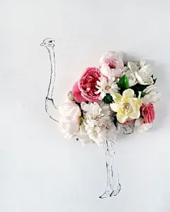 鲜花的补完计划 | Kari Herer来自缅因州波特兰。这一系列结合了鲜花的插画摄影,创造出一种虚中有实, 实中有虚的影像趣味,木兰花混搭昆虫及植物素描, 却彷佛浑然天成的合谐自然。