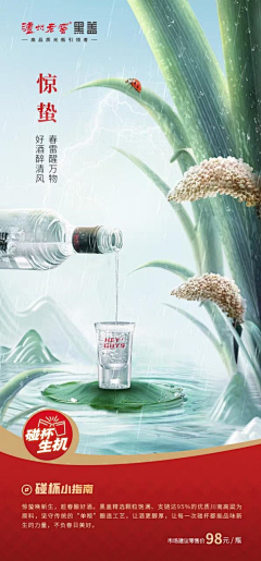 阳止拾玖采集到白酒