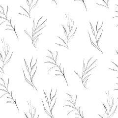 波西米亚春夏秋冬人物水果植物花卉叶子插画装饰免抠PNG图案素材 (6)