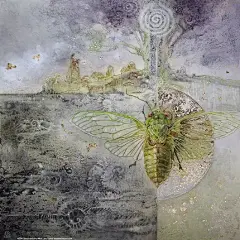 美籍华裔女性插画家Stephanie Law魔幻唯美插画