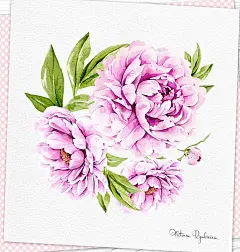 水彩 插画 植物绘画 鲜花 花卉 插画师ins@  victoria_ryabinina - 堆糖