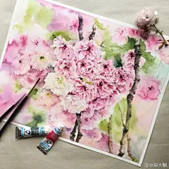 水彩---樱花-梨花-桃花-海棠花、梅花 - 高清图片，堆糖，美图壁纸兴趣社区