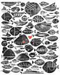 All the Fish in the Sea : A pattern based illustration to accompany the phrase - "Of all the fish in the sea, you're the one for me."