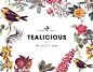 Tealicious : Branding design for a small tea shop in the heart of Florence