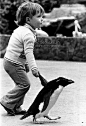 Walking with a Penguin~1978 in the U.K.~♛