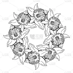 花圈花环与手绘轮廓花水仙