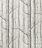 Birch Wallpaper: Cole & Sons I will always love and I will not rest.: 