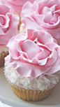 Peony & Pearl Cupcakes