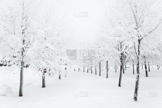 冬天,图画书,天空,公园,水平画幅,雪,...