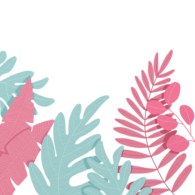 手绘植物 插画 PNG